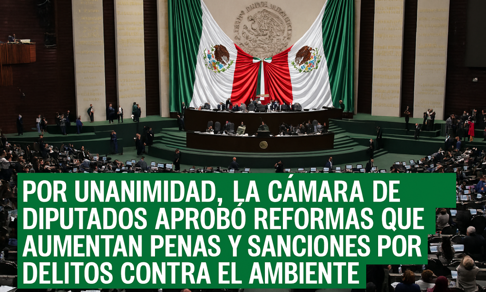 Cámara de Diputados aprueba endurecimiento de penas por delitos ambientales