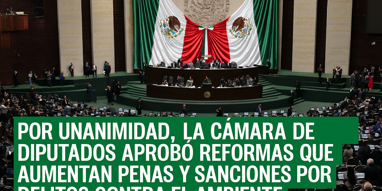 Cámara de Diputados aprueba endurecimiento de penas por delitos ambientales