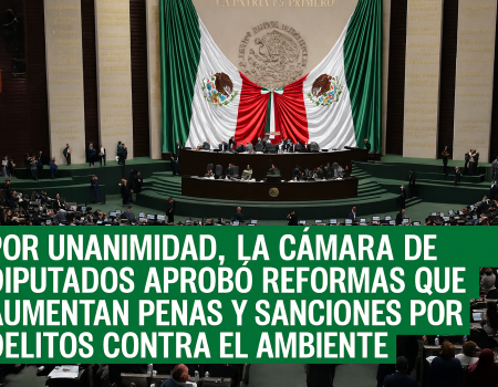 Cámara de Diputados aprueba endurecimiento de penas por delitos ambientales