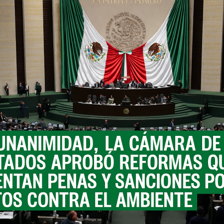 Cámara de Diputados aprueba endurecimiento de penas por delitos ambientales