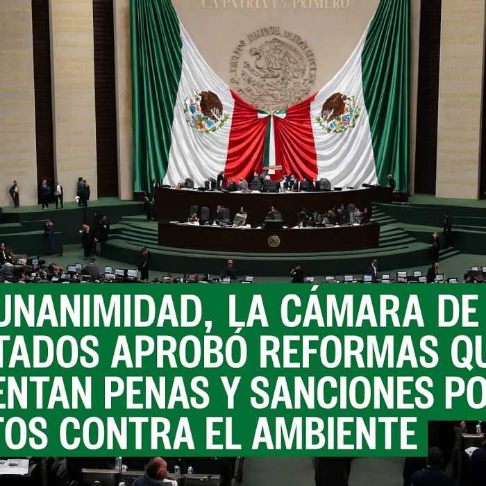 Cámara de Diputados aprueba endurecimiento de penas por delitos ambientales