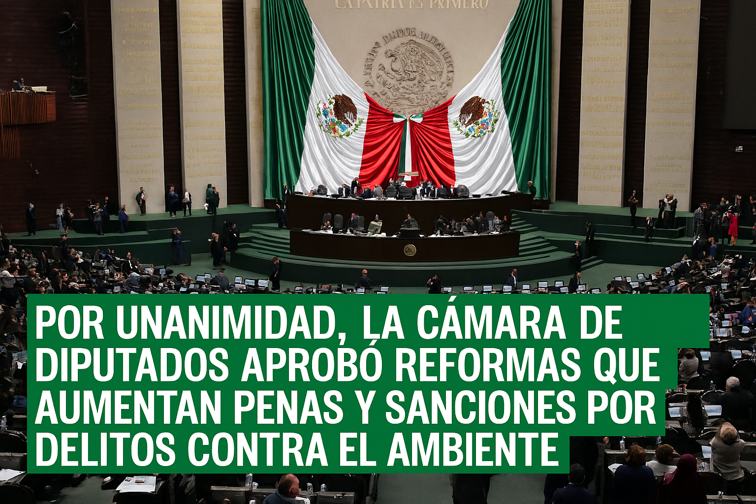 Cámara de Diputados aprueba endurecimiento de penas por delitos ambientales