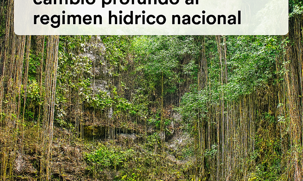 Diputados aprueban nueva Ley General de Aguas: un cambio profundo al régimen hídrico nacional